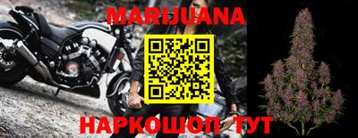 ешки Бердск