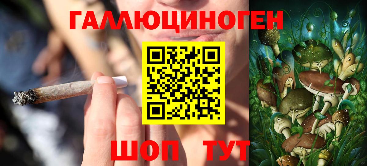 Псилоцибиновые грибы Psilocybine cubensis  Галлюциногенные грибы Cubensis  Нефтеюганск  Вход с VPN 